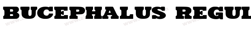 Bucephalus Regular字体转换